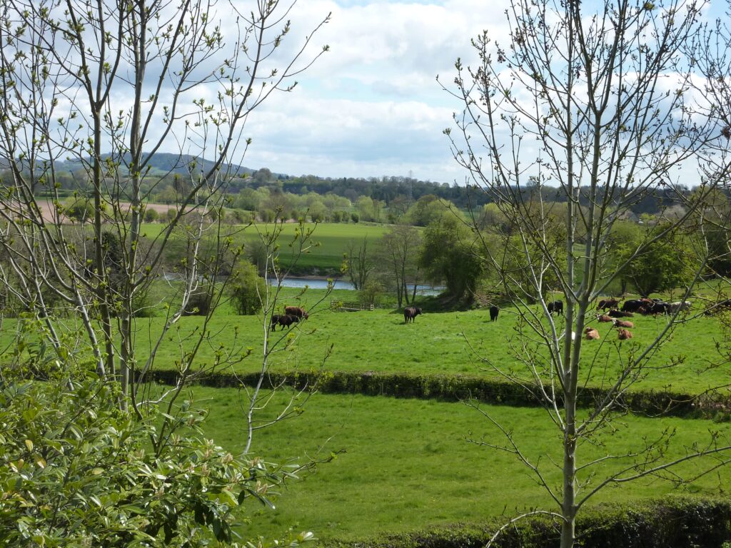 Riverside Walks in Herefordshire